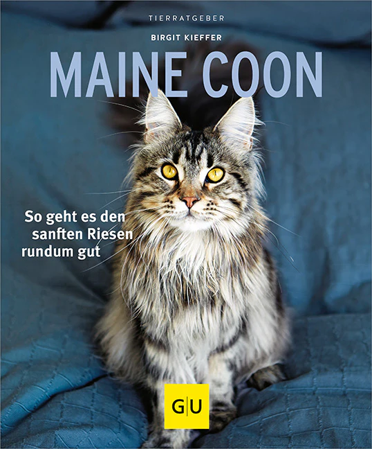 Maine Coon - Ratgeber