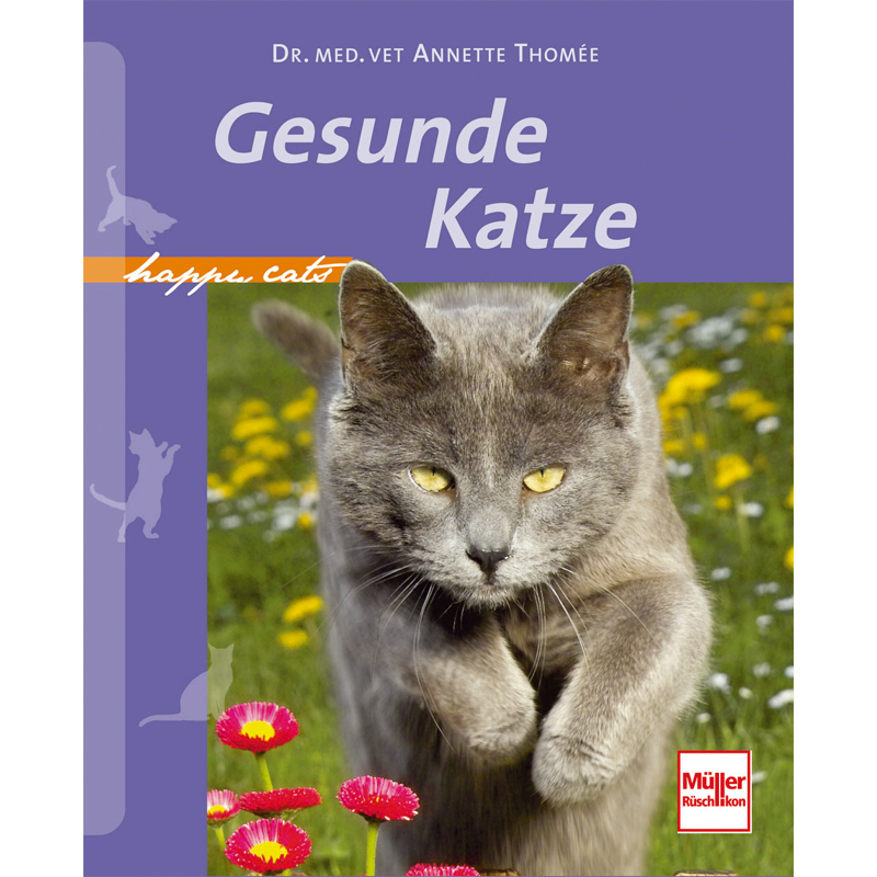 Gesunde Katze