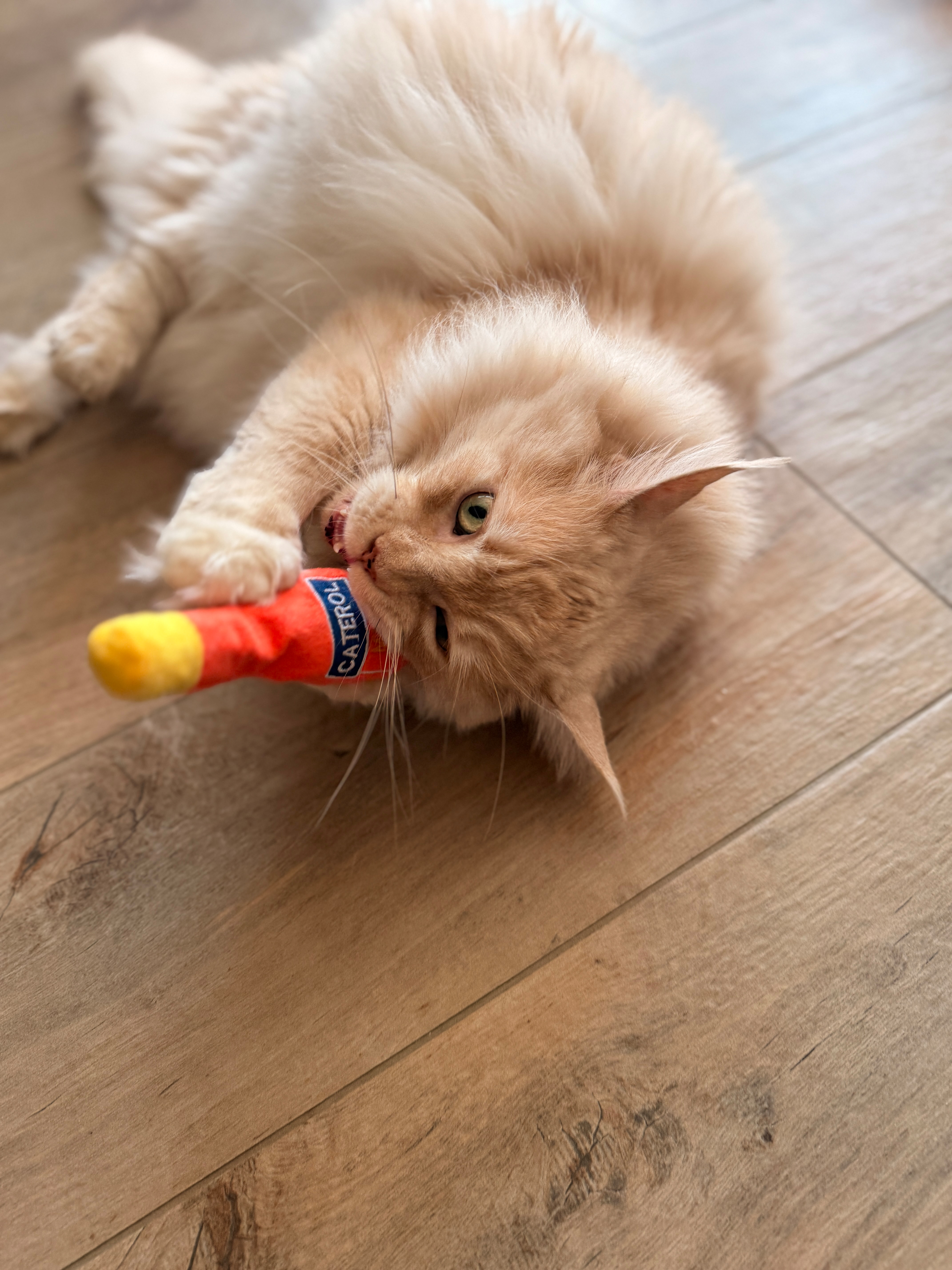 Caterol Miez - Katzenminze Spielkissen
