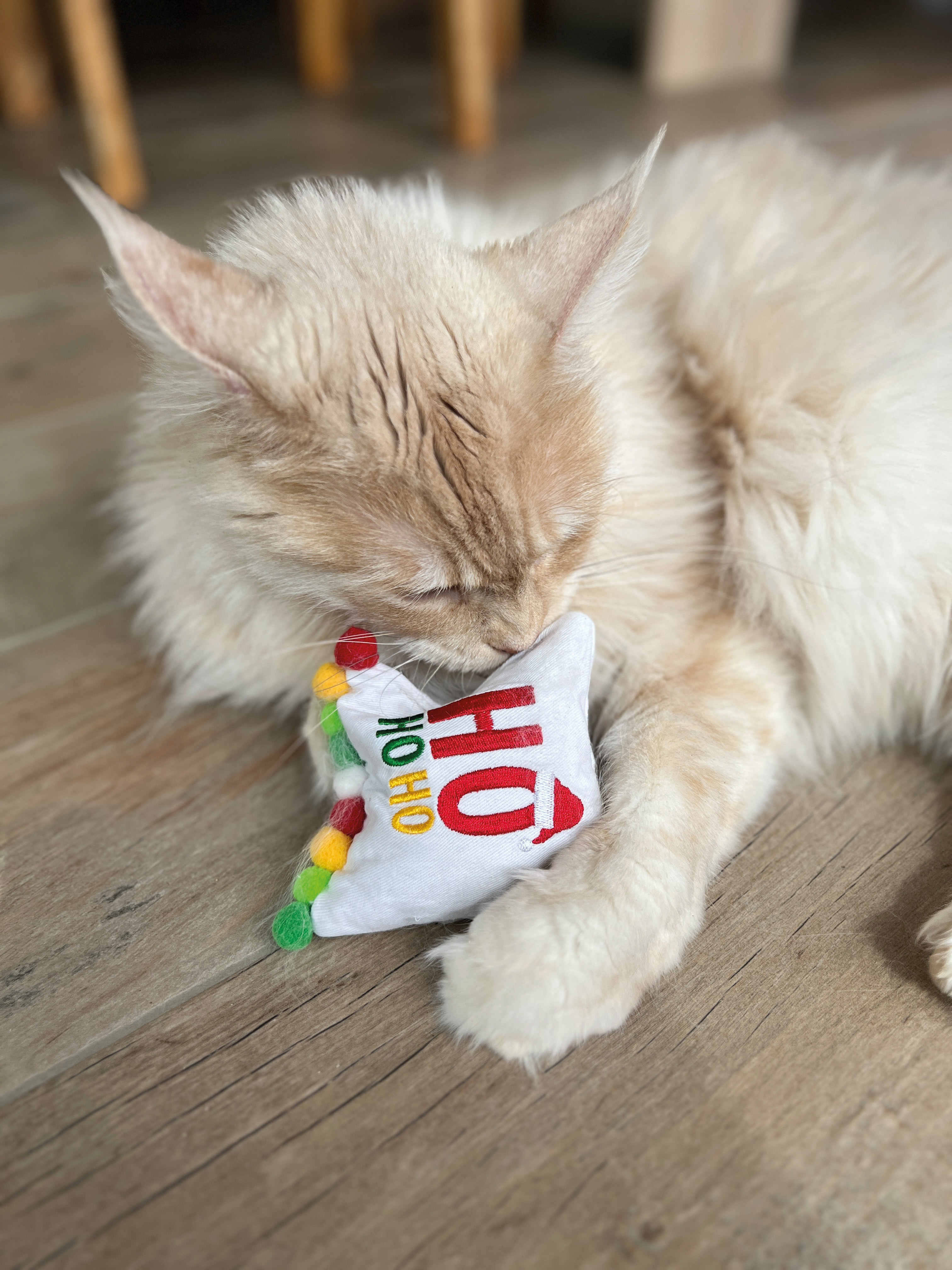 Baldrian Spielkissen White Ho Ho Ho