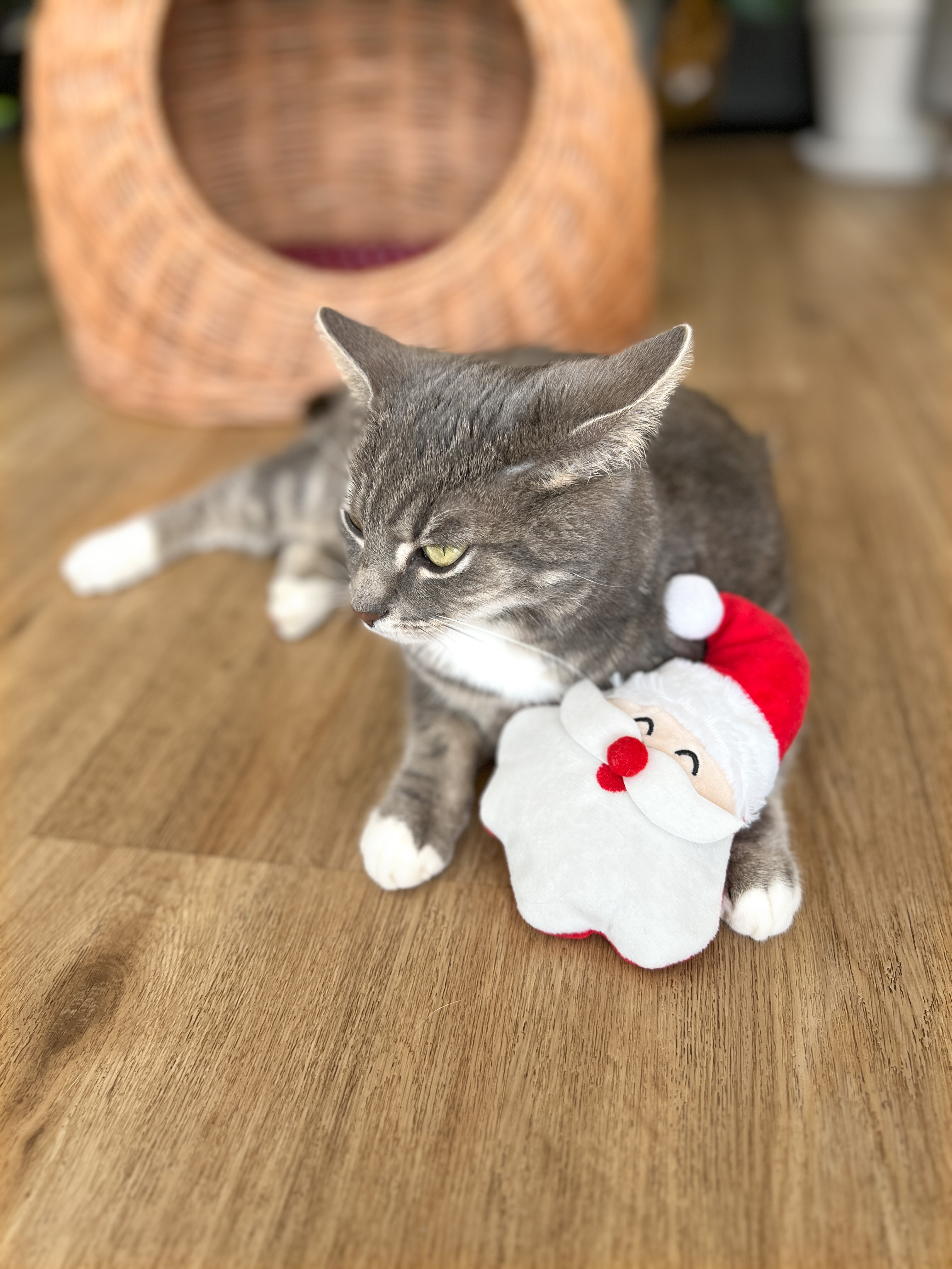 Katzenspielkissen Santa
