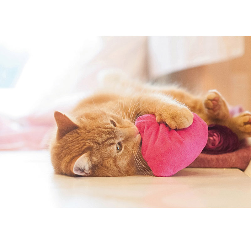 Baldi-Herz pink "I love you"