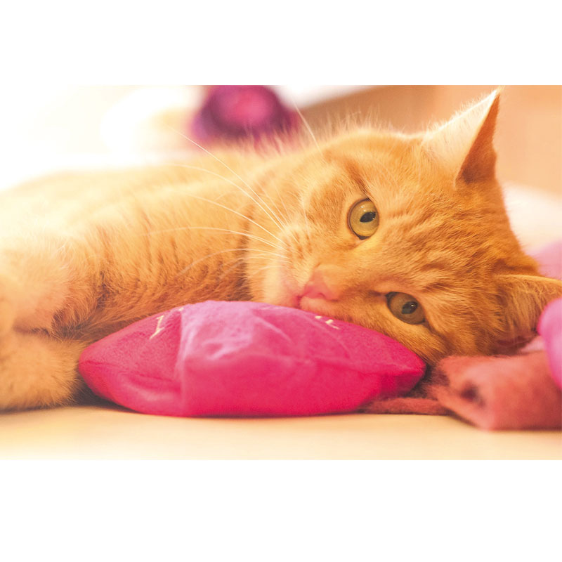 Baldi-Herz pink "I love you"