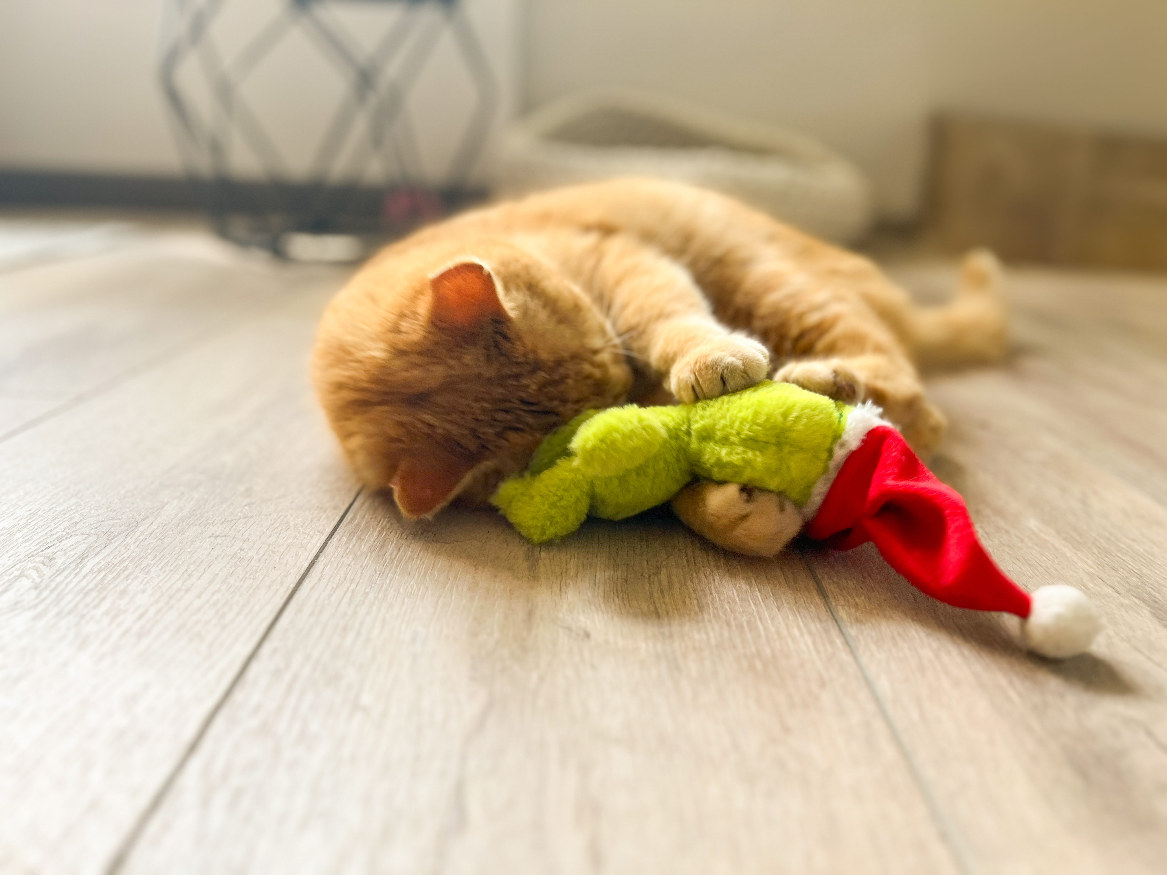 Baldi Muffel mit roter Weihnachtsmütze