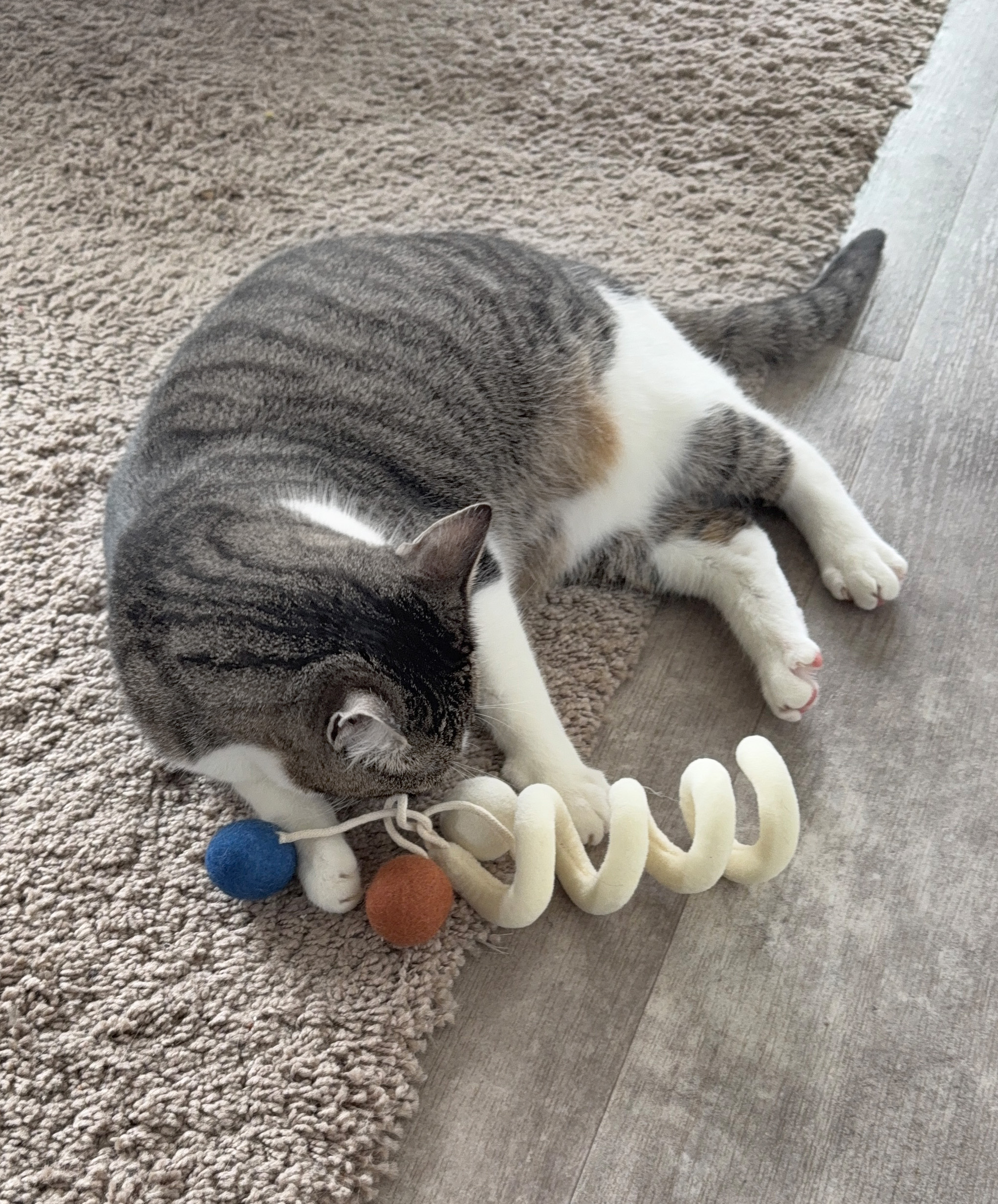 Katzenspielzeug Loopy