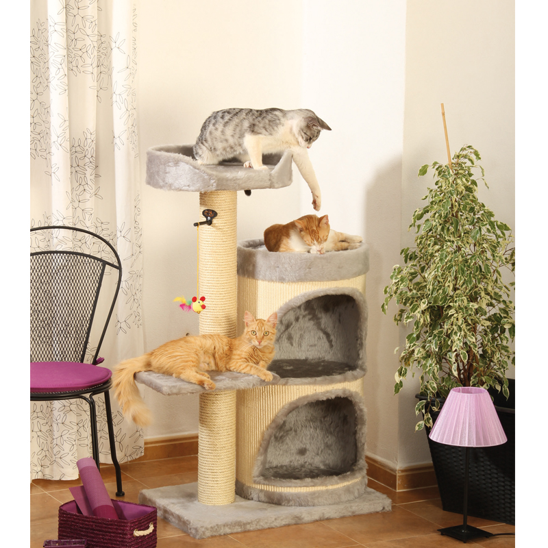 Kratzbaum Sina
