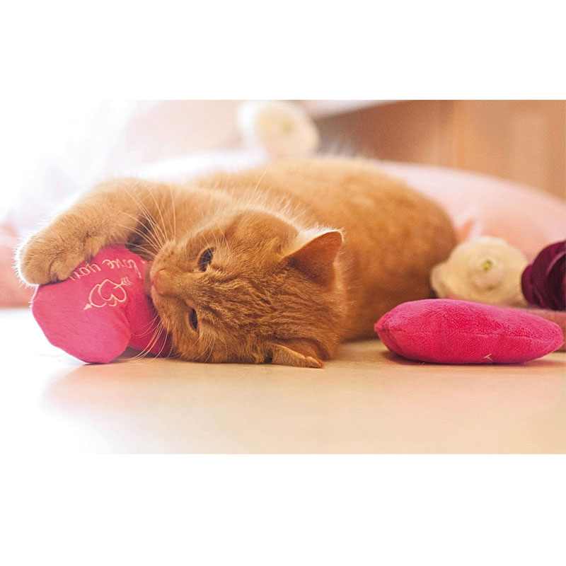 Baldi-Herz pink "I love you"
