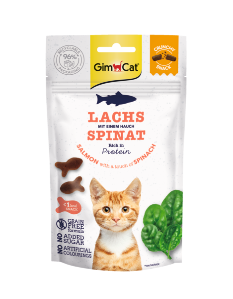 Crunchy Snack Lachs mit einem Hauch Spinat