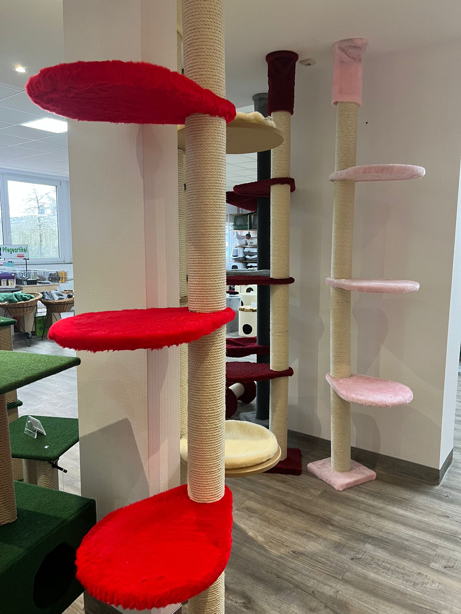 Kratzmodell Ovalo rosa