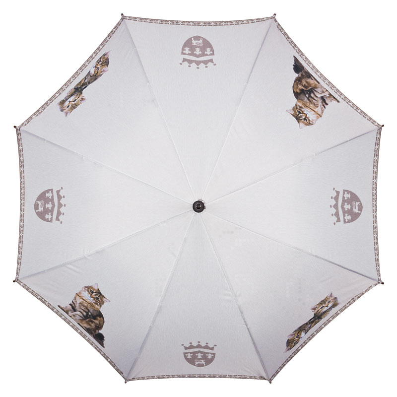 Stockschirm Getigerte Katzen