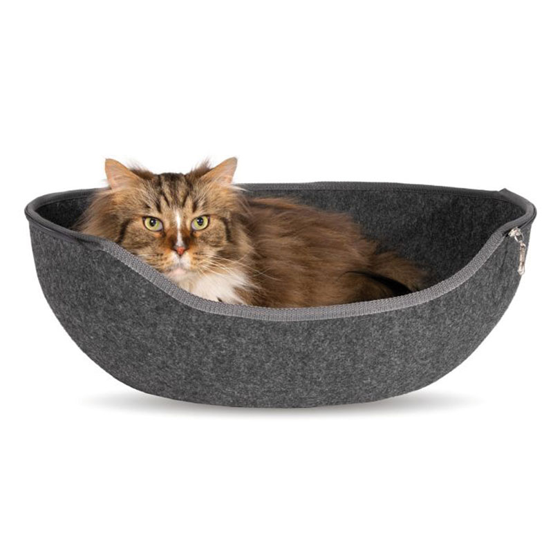 Katzeniglu Innu