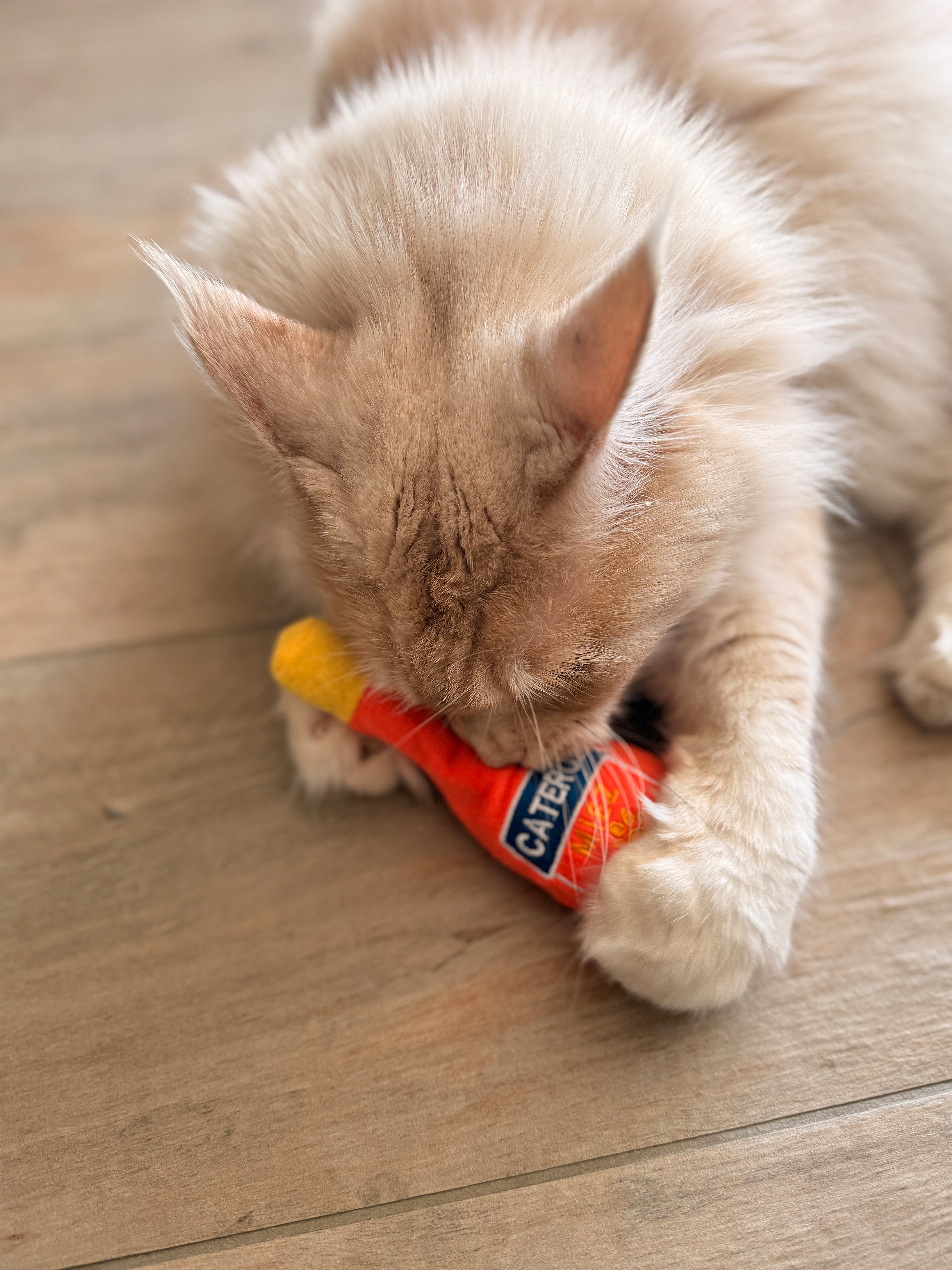 Caterol Miez - Katzenminze Spielkissen