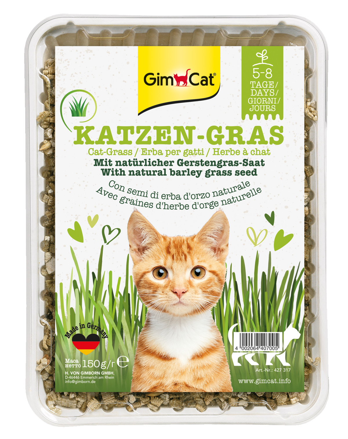Katzengras mit Wiesenduft