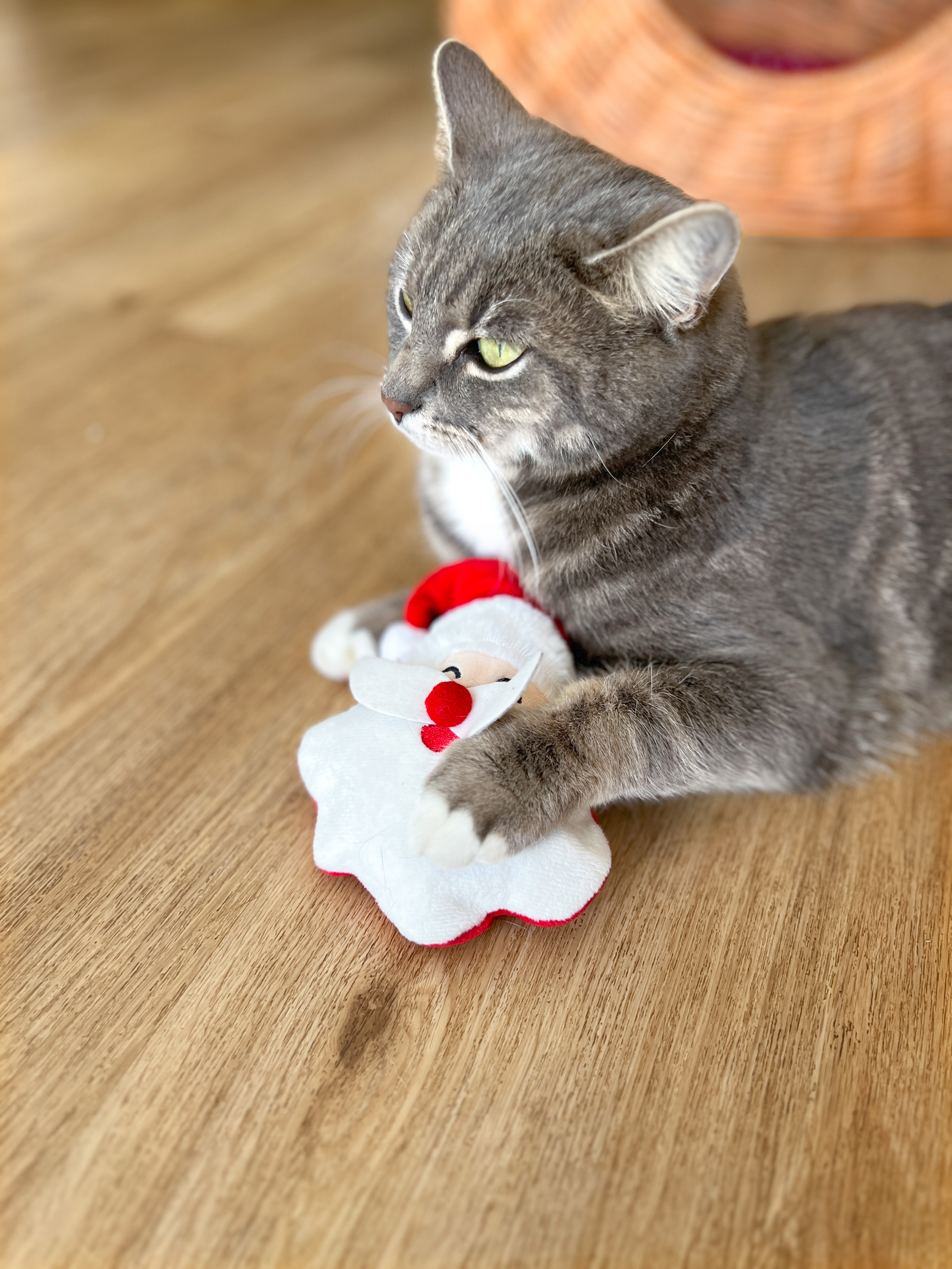 Katzenspielkissen Santa