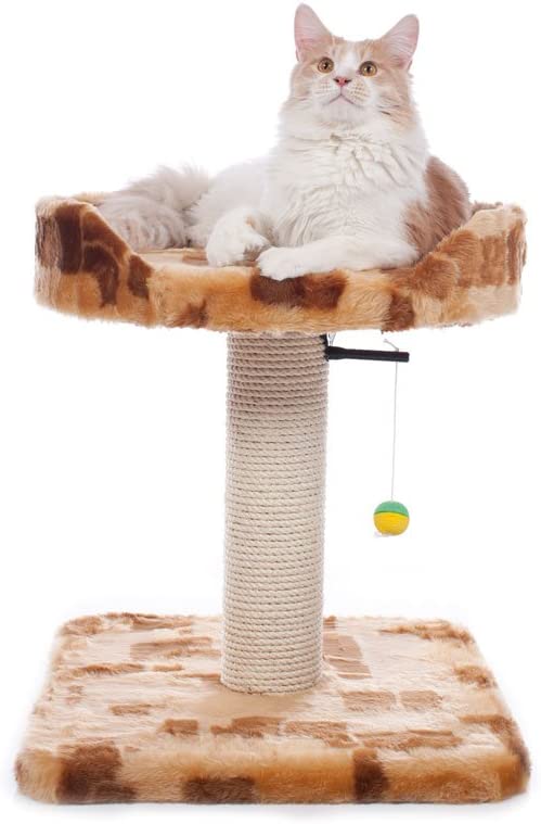 Kratzbaum Ben XL