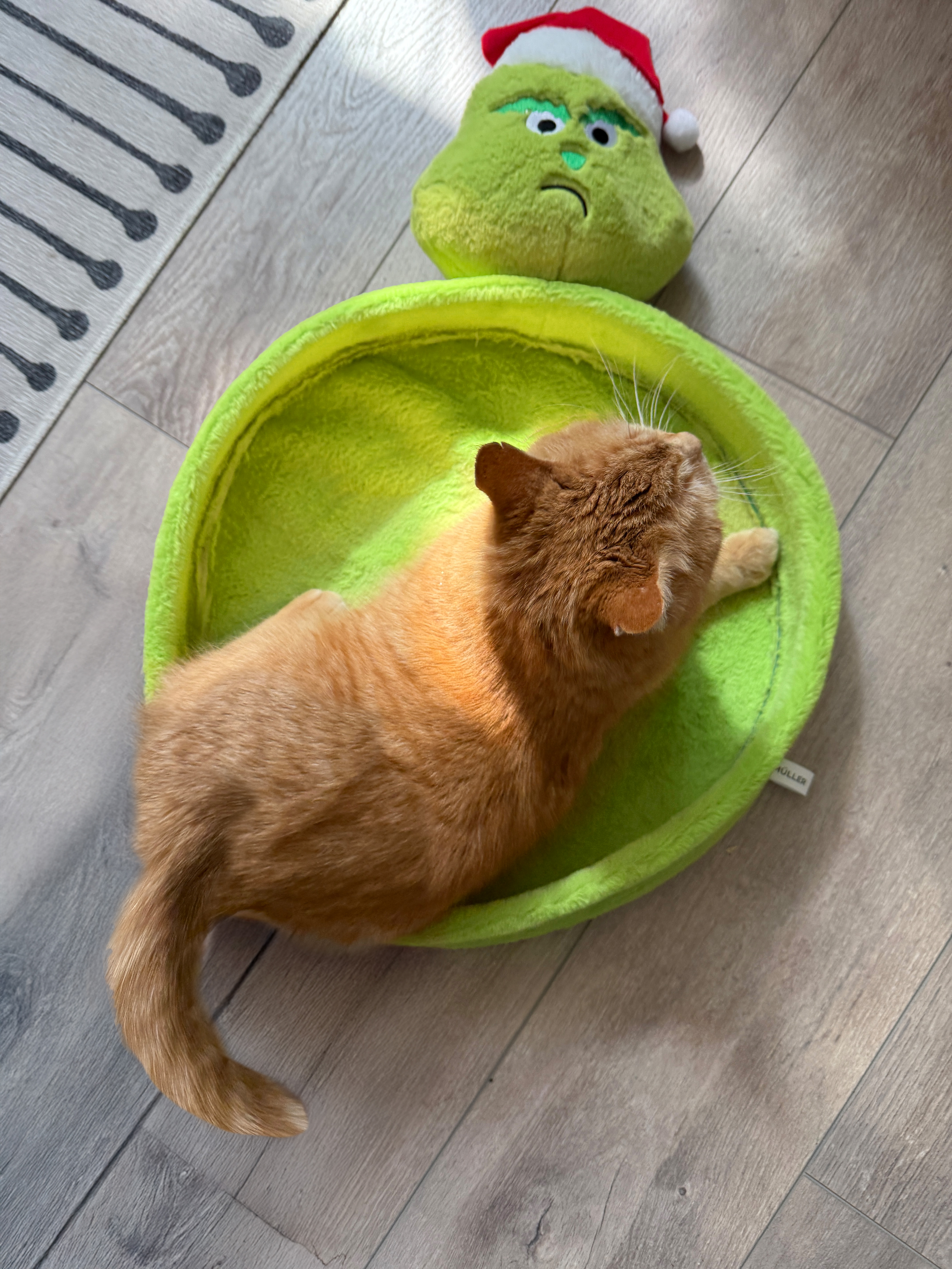 Muffel Kratzpappe/Plüschbett