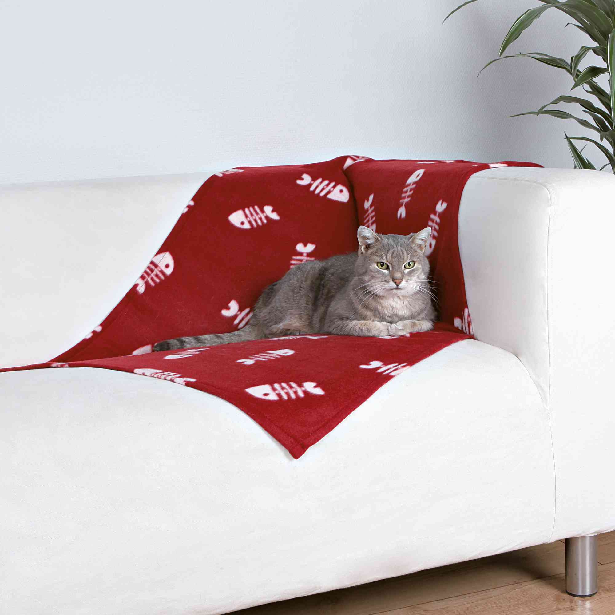 Vliesdecke Beany