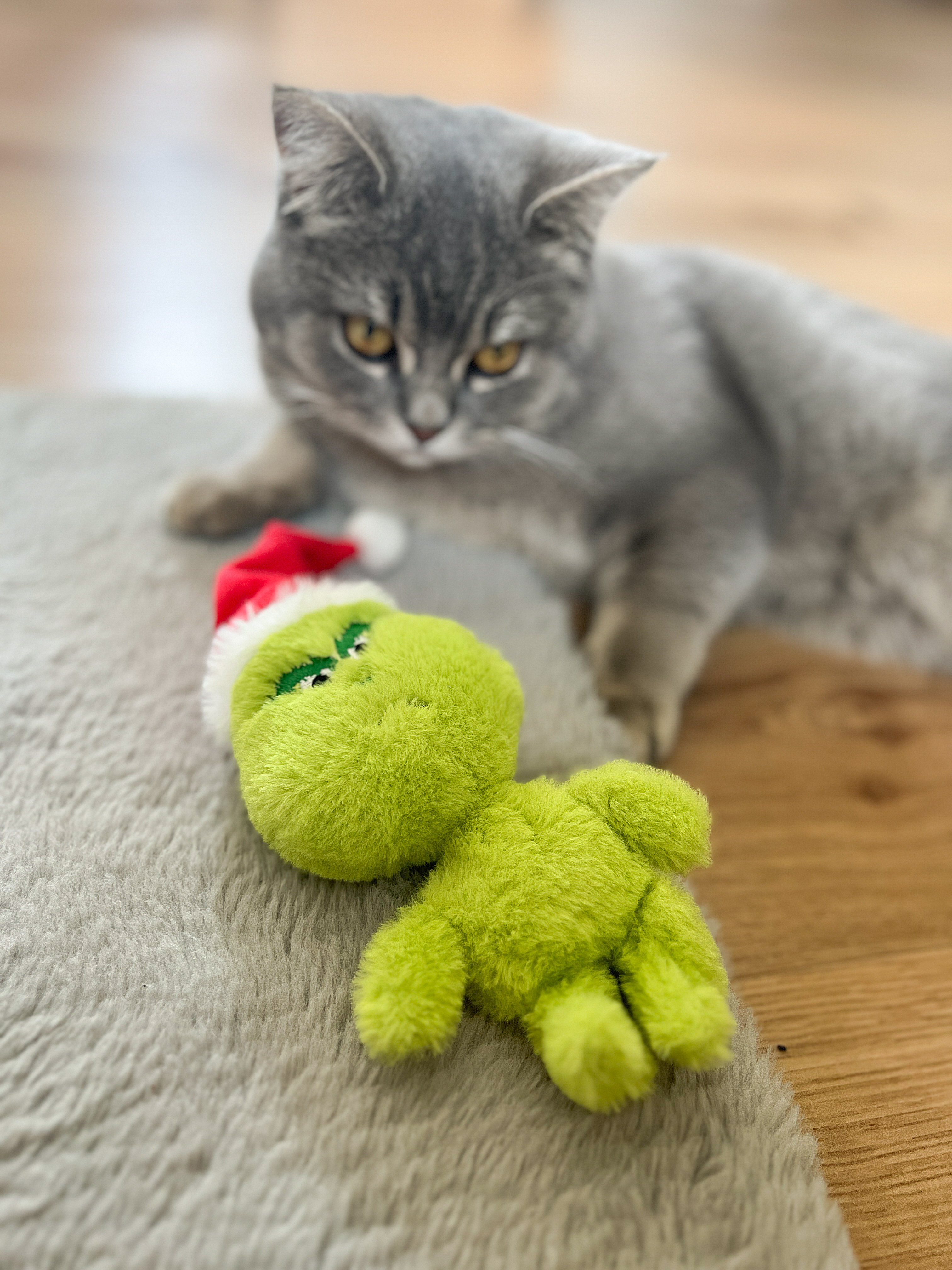 Baldi Muffel mit roter Weihnachtsmütze