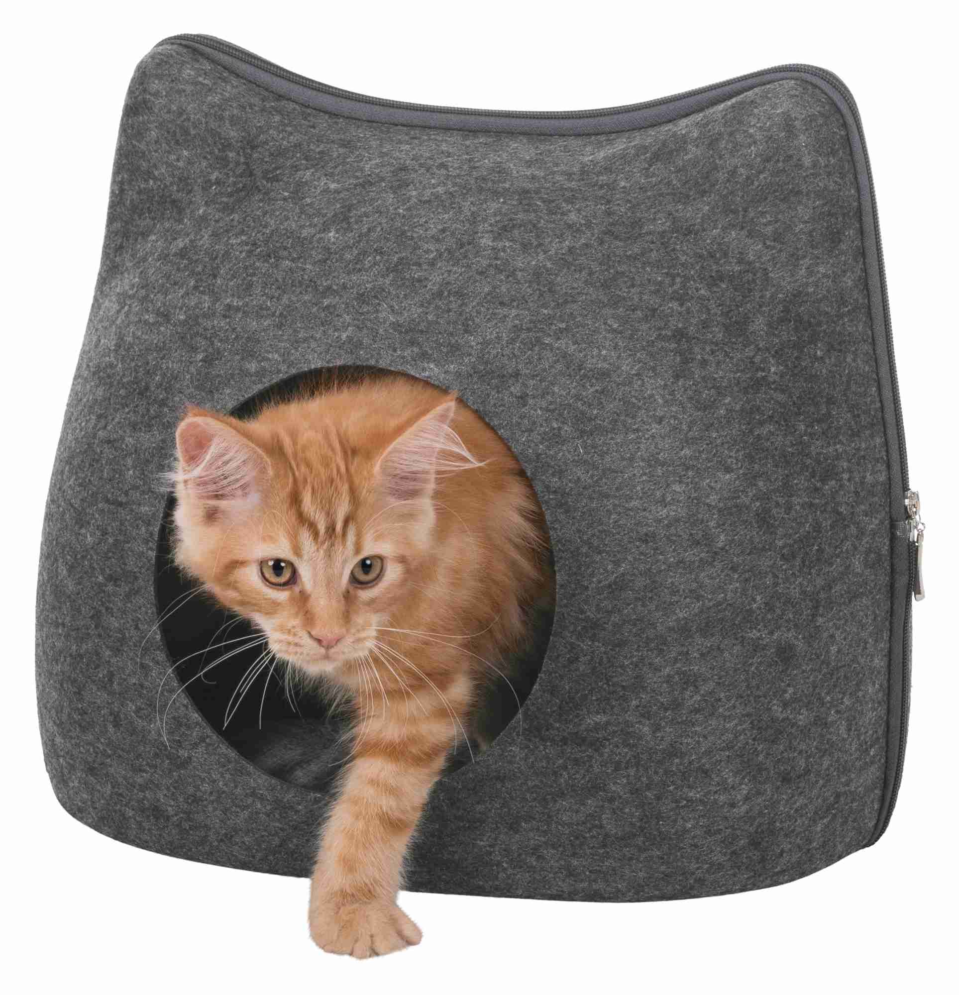 Höhle Cat