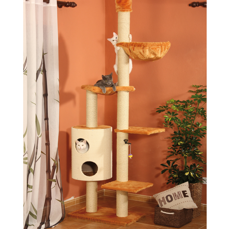 Kratzbaum Leander
