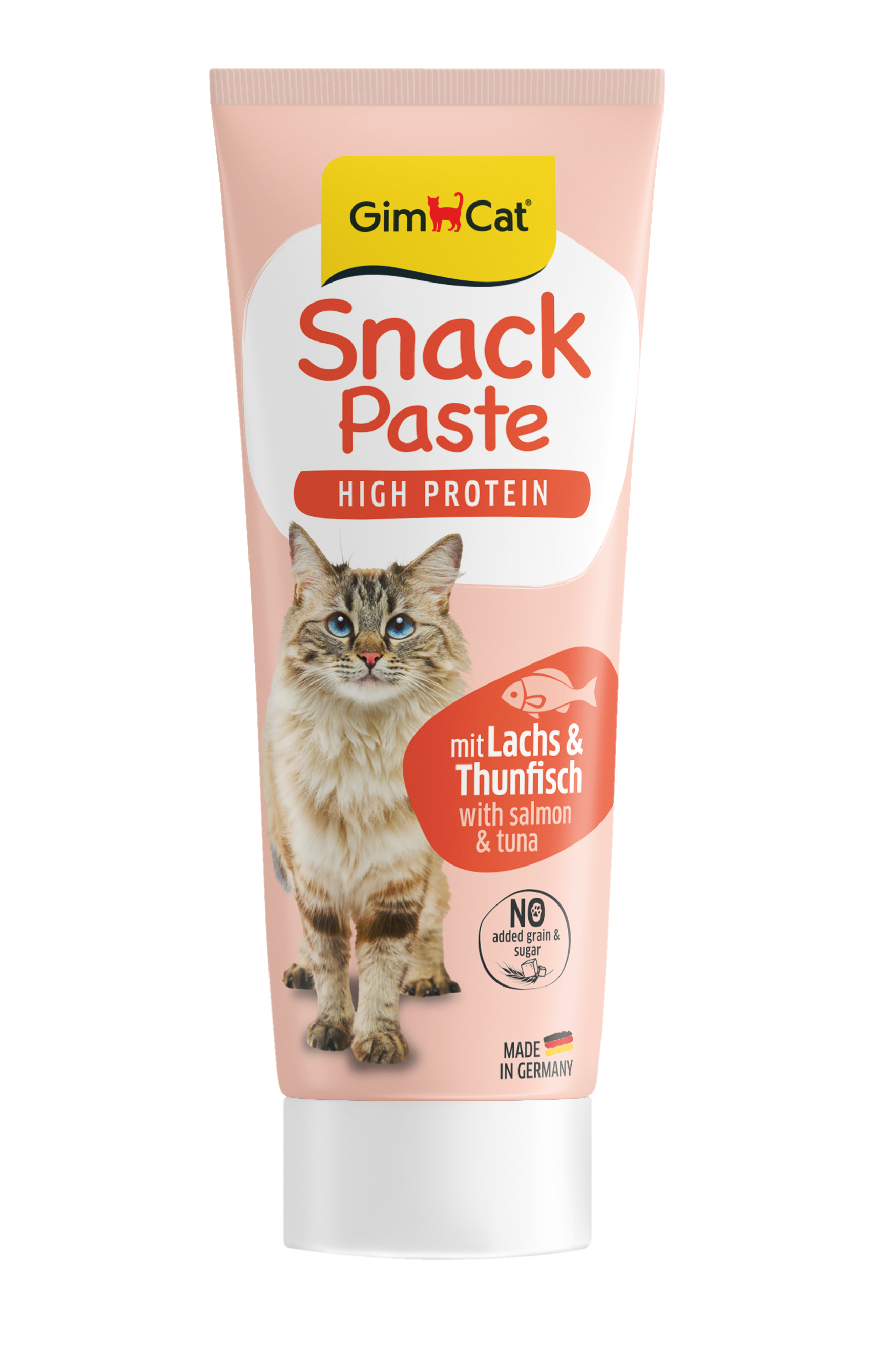 Snack Paste mit Lachs & Thunfisch