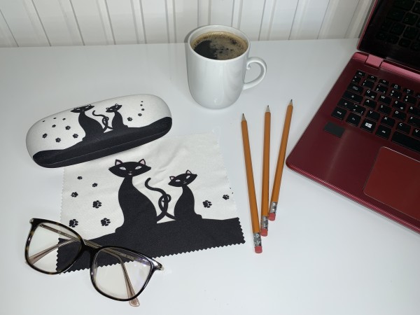 Brillenetui mit Brillenputztuch