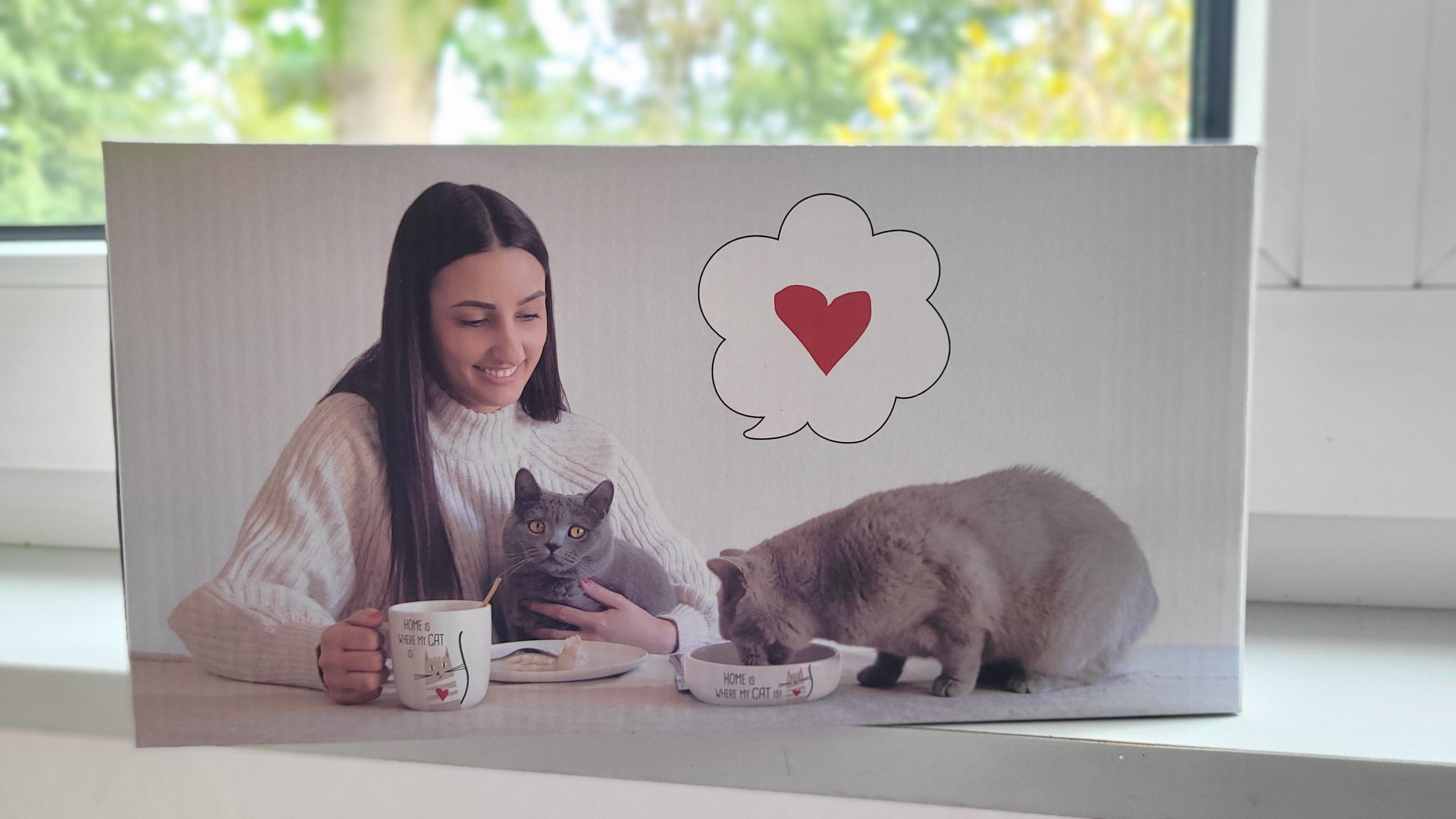 Geschenkset Home is where my cat is