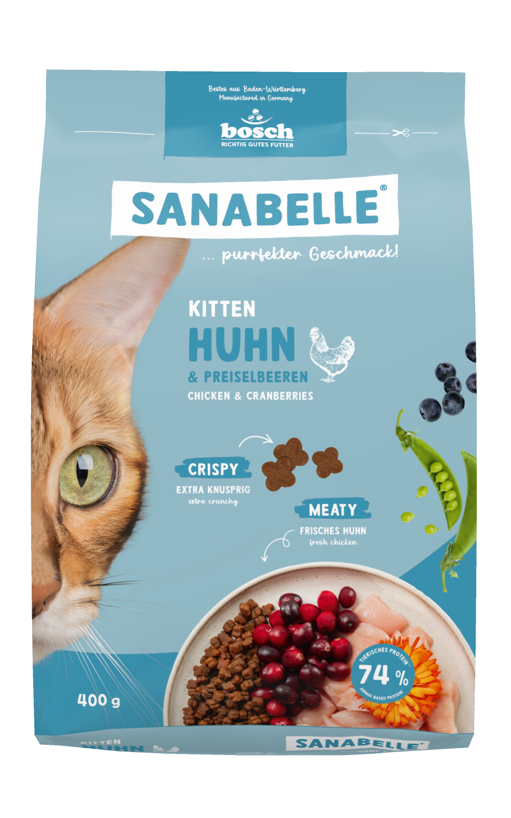Sanabelle Kitten