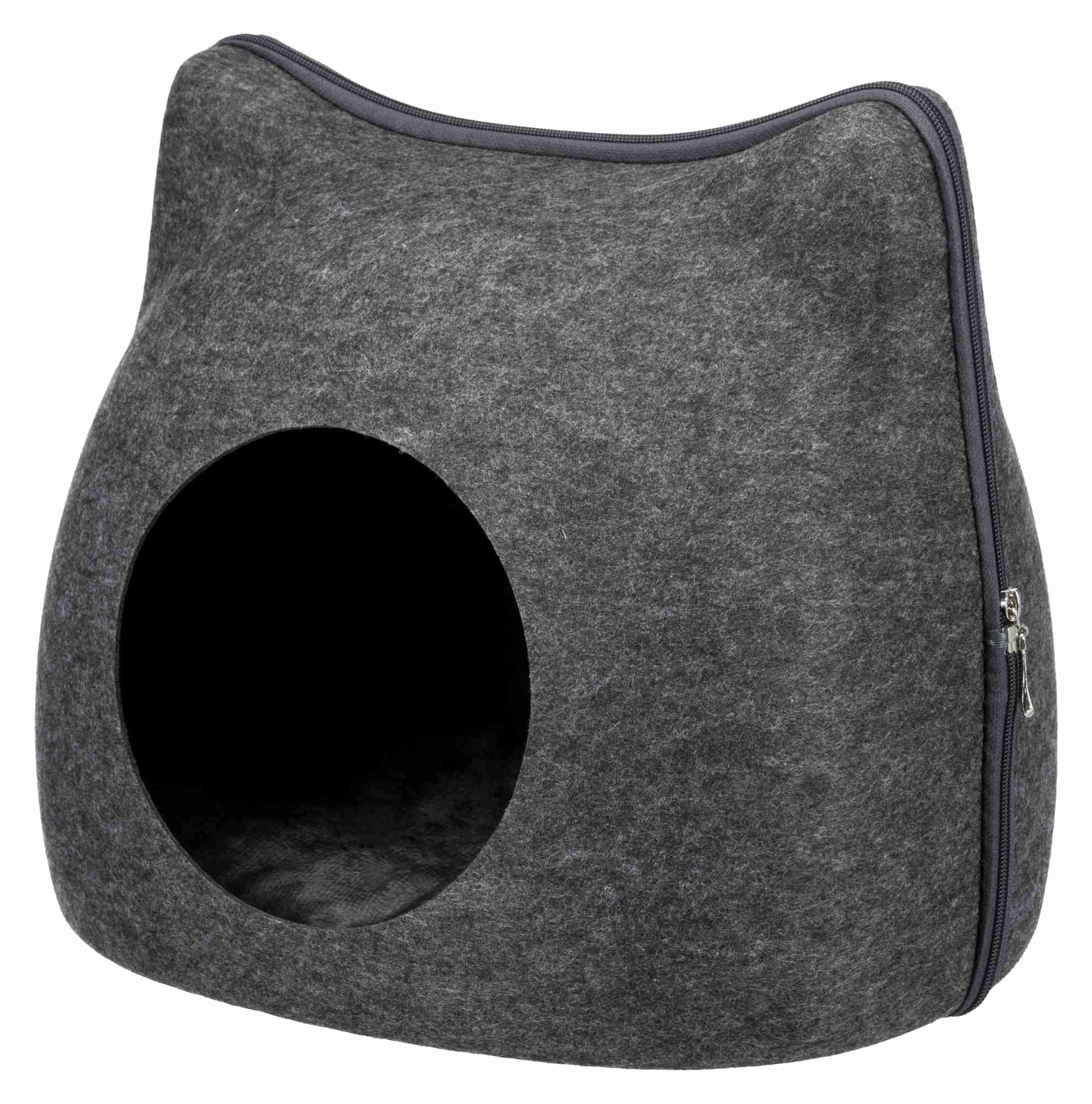 Höhle Cat