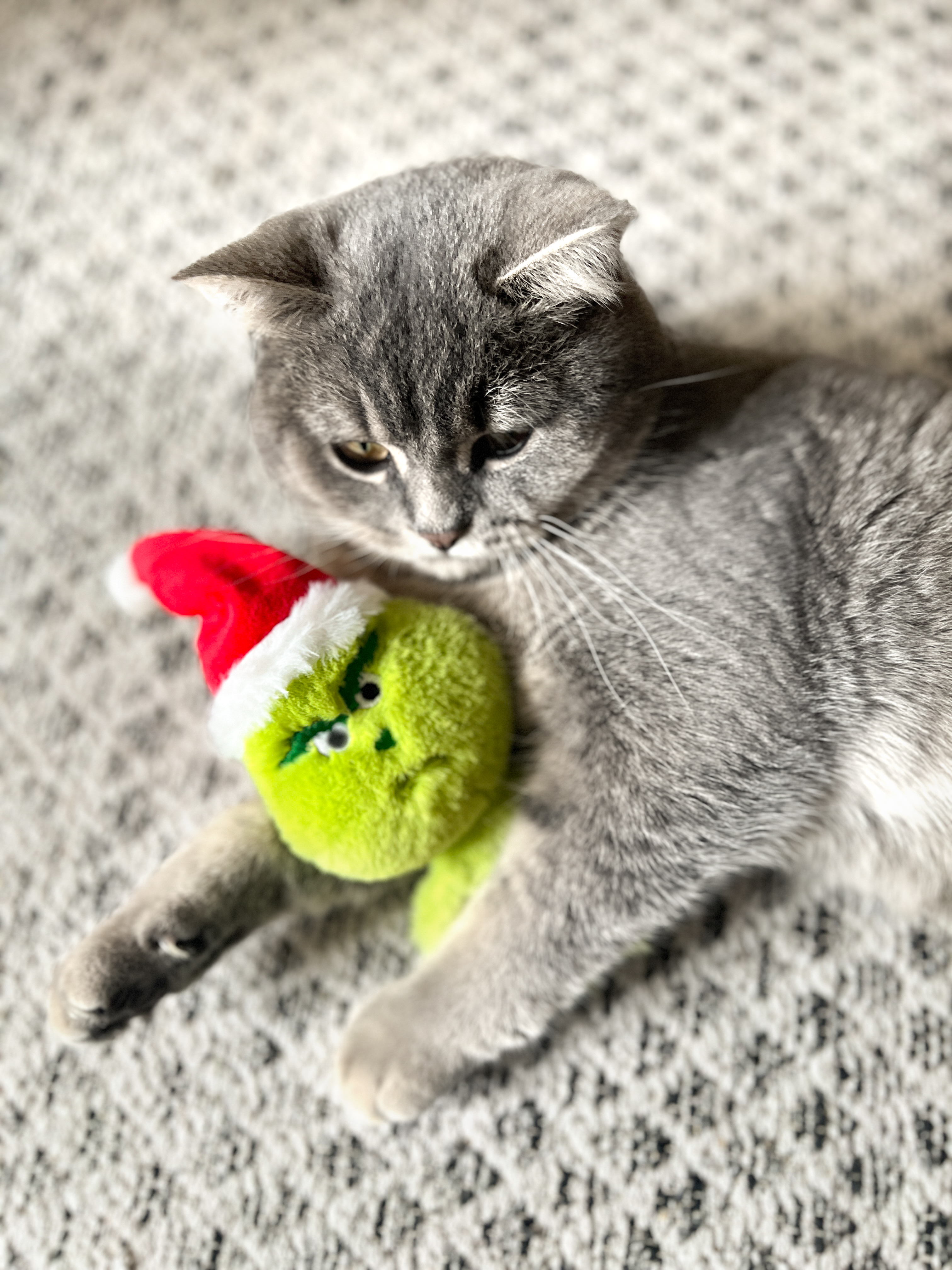 Baldi Muffel mit roter Weihnachtsmütze