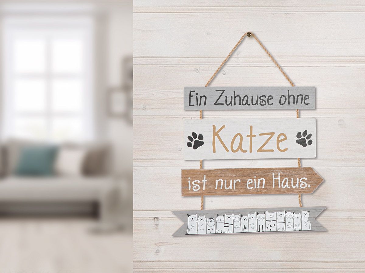 Hänger Katzenbande