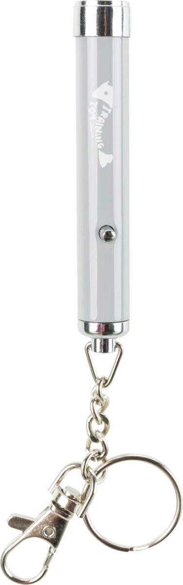 LED Pointer