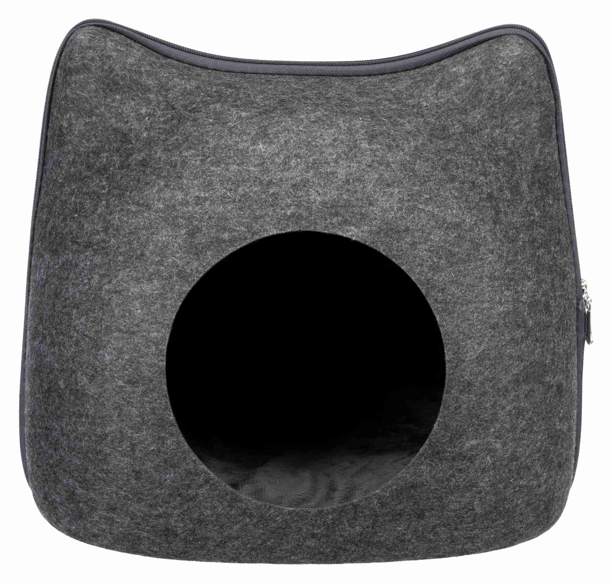 Höhle Cat