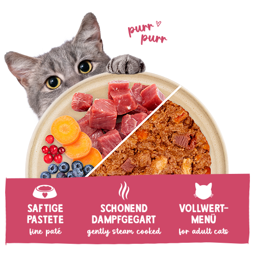 Freshe Mieze Rind & Huhn