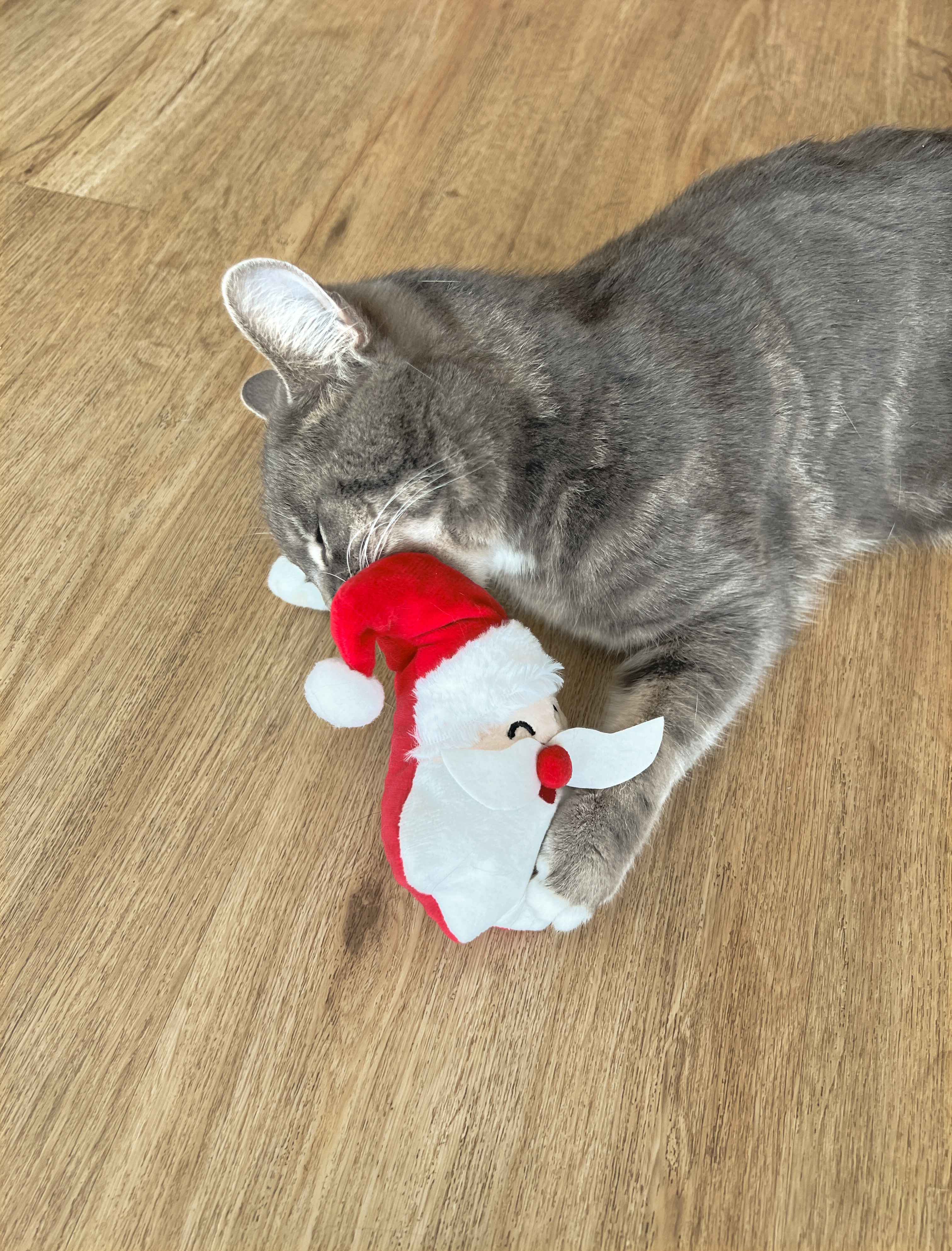 Katzenspielkissen Santa