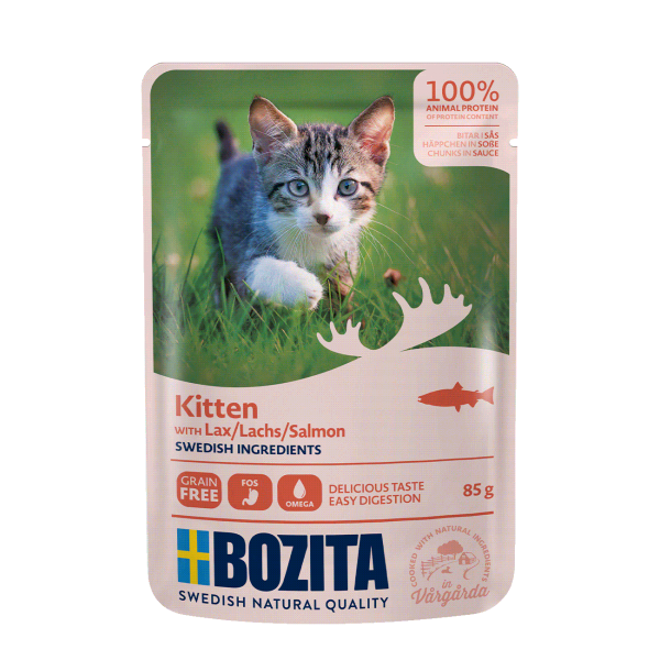 Bozita Kitten mit Lachs