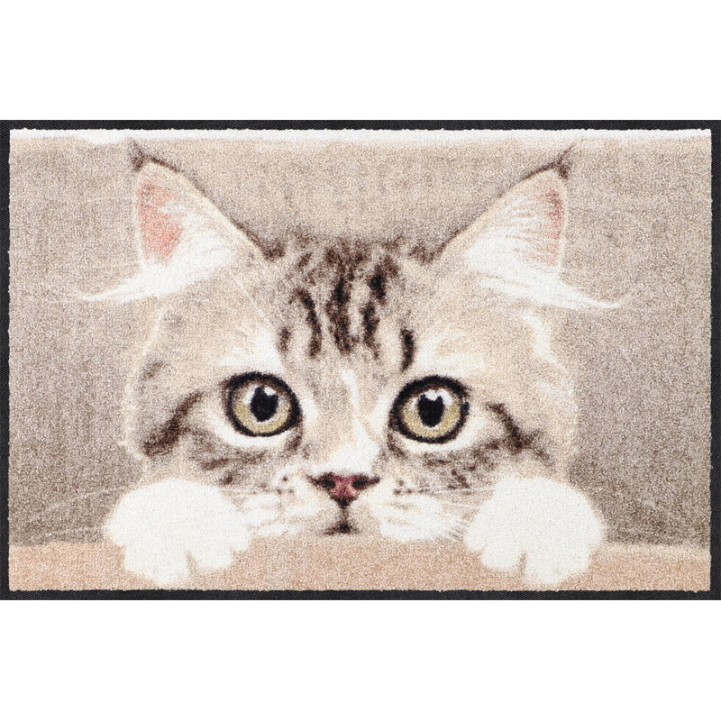 Fußmatte Nosy Cat, Deko & Haushalt, Boutique