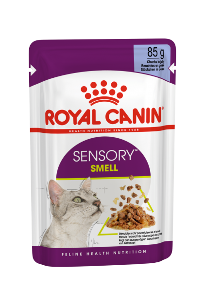 Royal Canin Sensory Smell Pouchbeutel, 85 g in Jelly