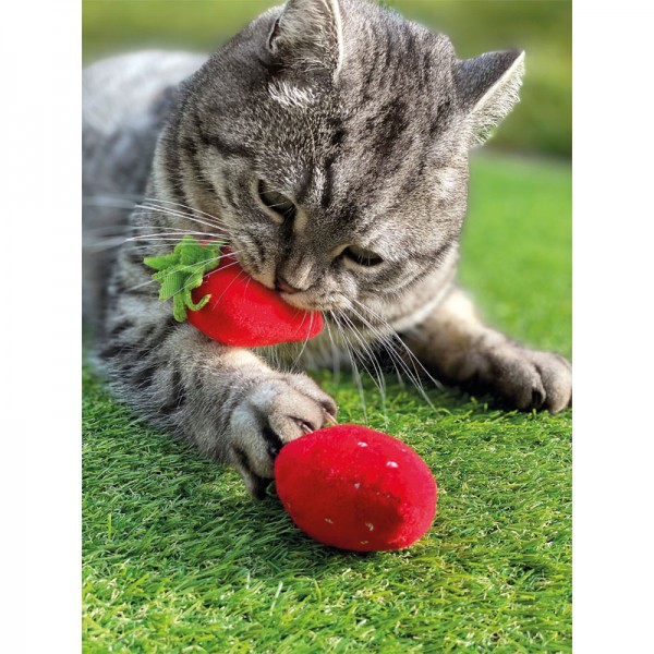 Katzenspielkissen Erdbeere 2er-Set