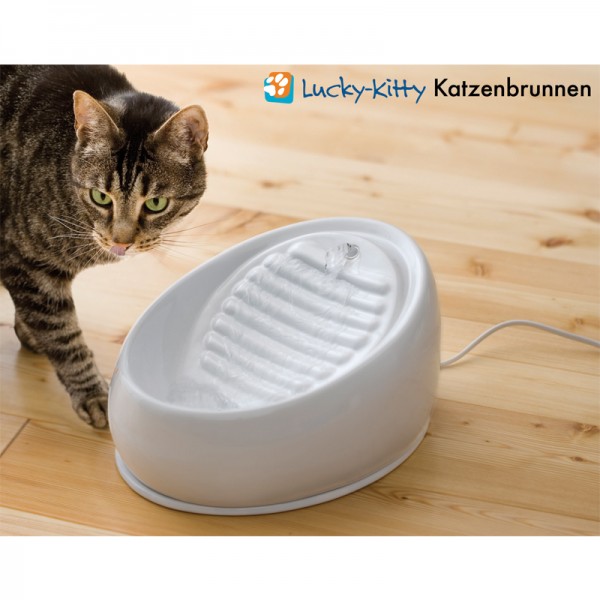 Lucky-Kitty Katzenbrunnen