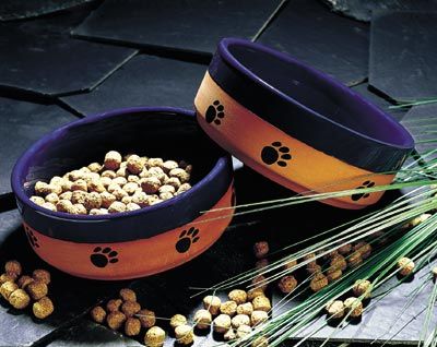 Clevercat - Katzenartikel Shop
